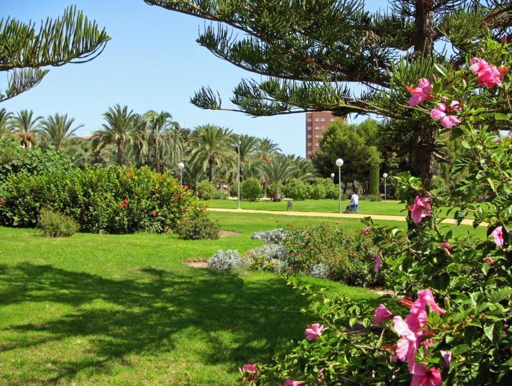 27-3- Комната С Балконом В Квартире Аликанте Для 5 Человек Alicante Buitenkant foto
